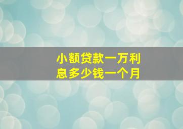 小额贷款一万利息多少钱一个月