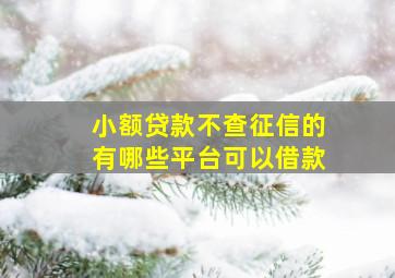 小额贷款不查征信的有哪些平台可以借款