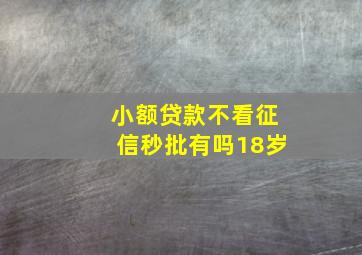 小额贷款不看征信秒批有吗18岁