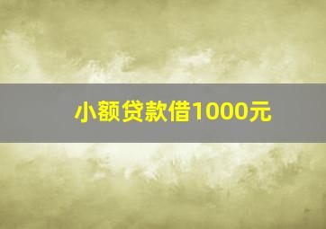 小额贷款借1000元