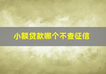 小额贷款哪个不查征信