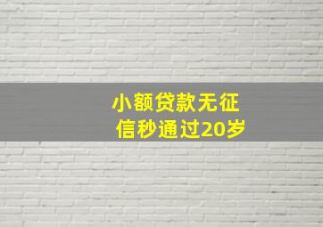 小额贷款无征信秒通过20岁