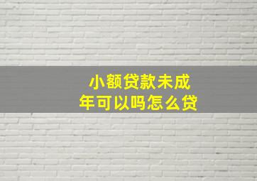 小额贷款未成年可以吗怎么贷