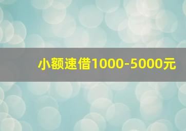 小额速借1000-5000元