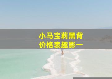 小马宝莉黑背价格表趣影一