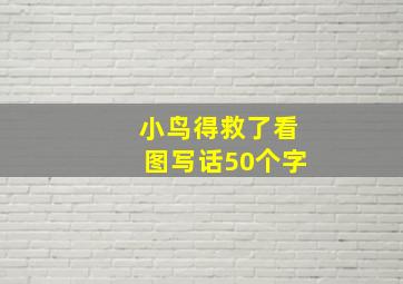 小鸟得救了看图写话50个字