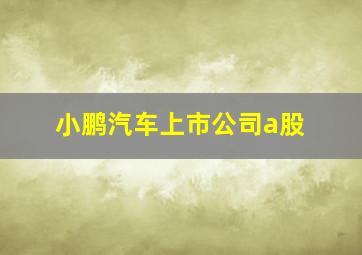 小鹏汽车上市公司a股