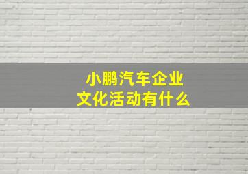 小鹏汽车企业文化活动有什么