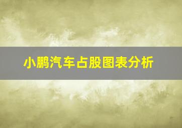 小鹏汽车占股图表分析