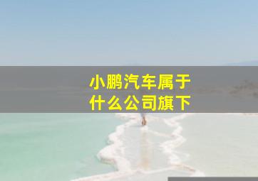 小鹏汽车属于什么公司旗下