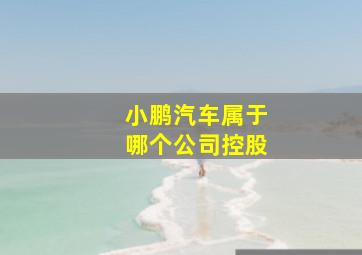 小鹏汽车属于哪个公司控股