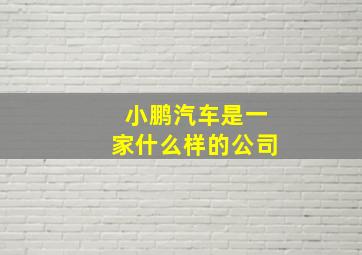 小鹏汽车是一家什么样的公司