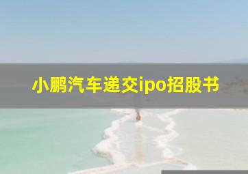 小鹏汽车递交ipo招股书