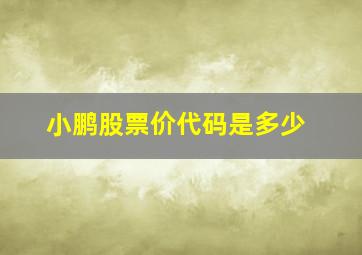 小鹏股票价代码是多少