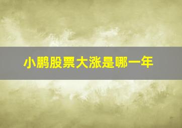 小鹏股票大涨是哪一年