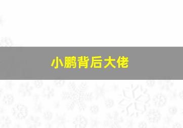 小鹏背后大佬