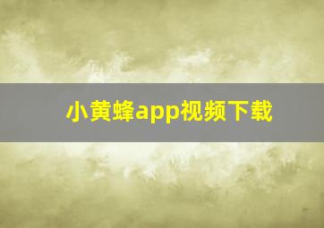 小黄蜂app视频下载