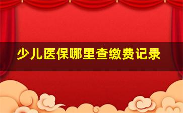 少儿医保哪里查缴费记录