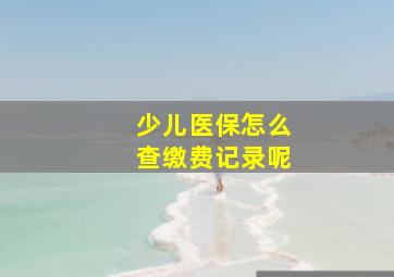 少儿医保怎么查缴费记录呢