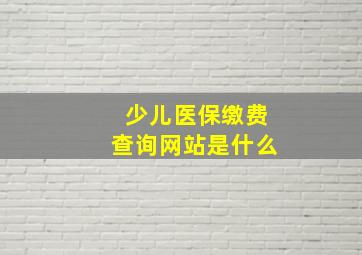 少儿医保缴费查询网站是什么