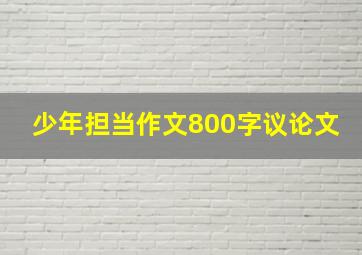 少年担当作文800字议论文