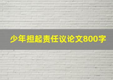 少年担起责任议论文800字