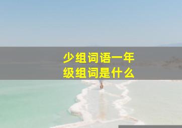 少组词语一年级组词是什么