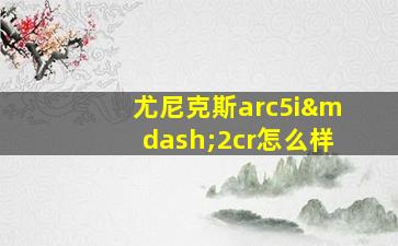 尤尼克斯arc5i—2cr怎么样