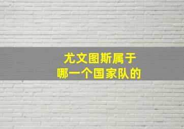 尤文图斯属于哪一个国家队的