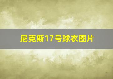 尼克斯17号球衣图片