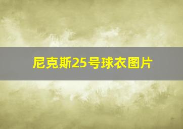 尼克斯25号球衣图片