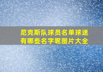 尼克斯队球员名单球迷有哪些名字呢图片大全