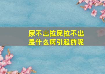 尿不出拉屎拉不出是什么病引起的呢