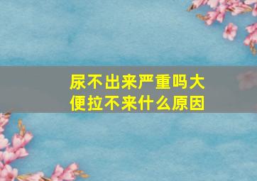 尿不出来严重吗大便拉不来什么原因