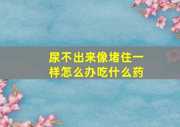 尿不出来像堵住一样怎么办吃什么药