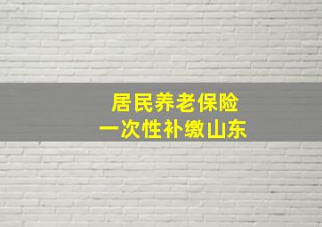 居民养老保险一次性补缴山东