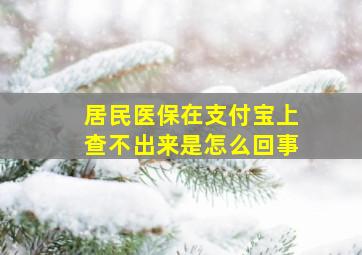 居民医保在支付宝上查不出来是怎么回事