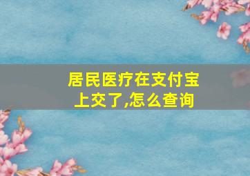 居民医疗在支付宝上交了,怎么查询