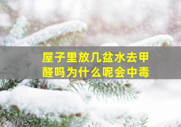 屋子里放几盆水去甲醛吗为什么呢会中毒