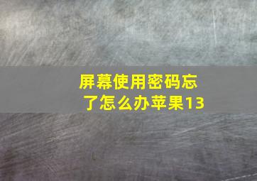 屏幕使用密码忘了怎么办苹果13