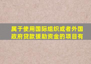 属于使用国际组织或者外国政府贷款援助资金的项目有