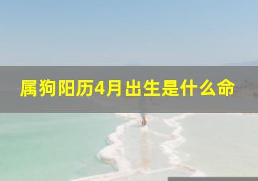 属狗阳历4月出生是什么命