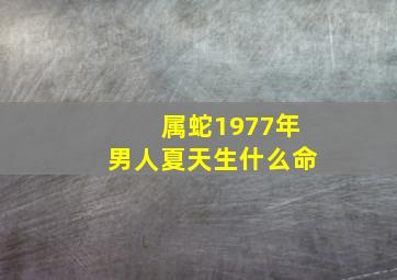 属蛇1977年男人夏天生什么命