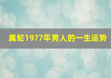 属蛇1977年男人的一生运势