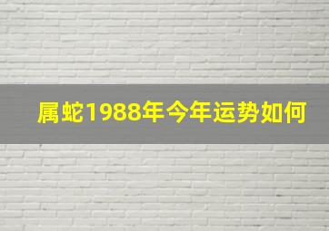 属蛇1988年今年运势如何