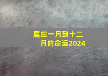 属蛇一月到十二月的命运2024