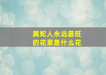 属蛇人永远最旺的花草是什么花