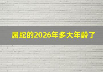 属蛇的2026年多大年龄了