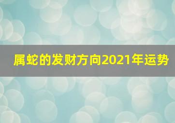 属蛇的发财方向2021年运势