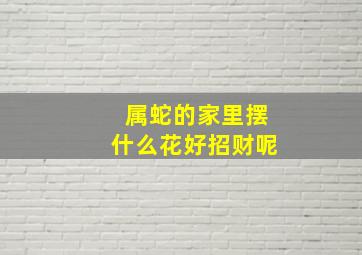 属蛇的家里摆什么花好招财呢